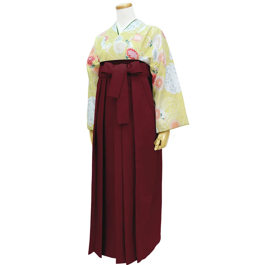 黄色地に菊尽くし・臙脂袴（無地） （二尺袖）／卒業式／斜め