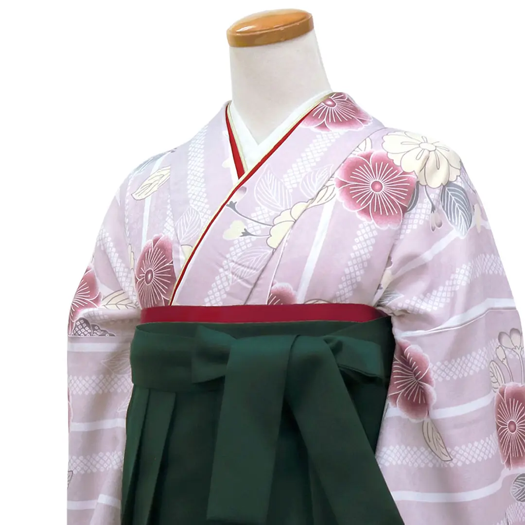薄紫地にストライプと桜・緑袴（無地）（二尺袖）／卒業式 斜め詳細