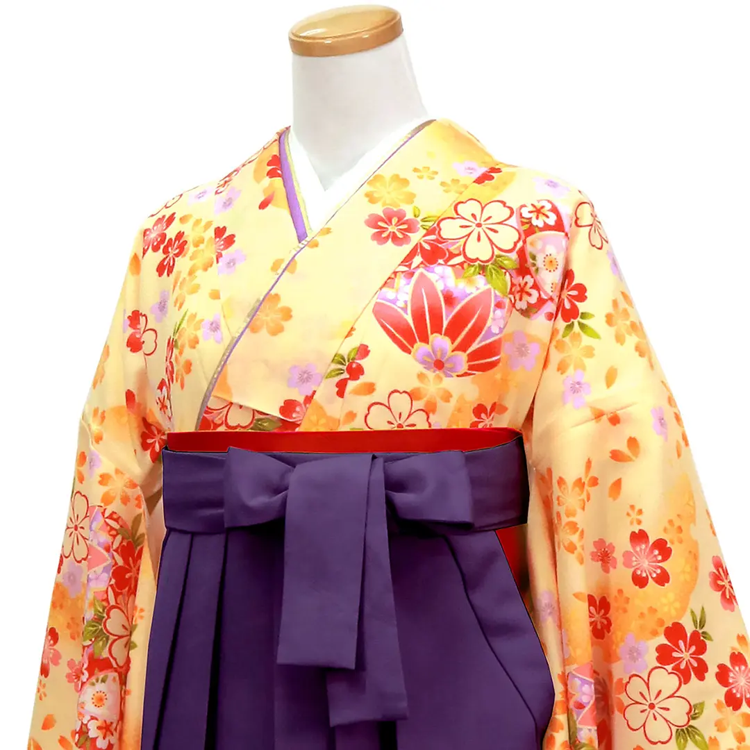 【人気セット】クリーム色地に桜と毬・紫袴（無地） （二尺袖）／卒業式／斜め詳細