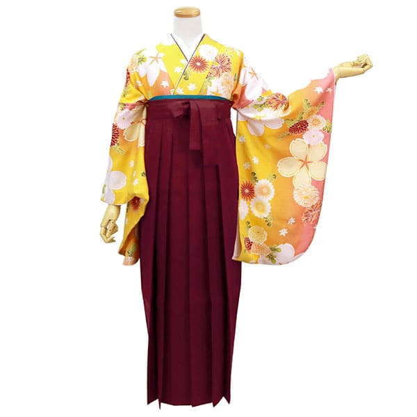 黄色地に桜と菊・臙脂袴（無地） （二尺袖）／卒業式 | 宅配着物