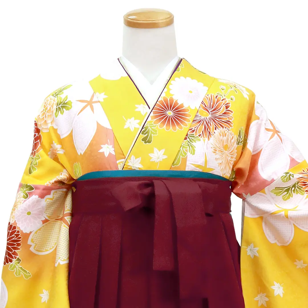 【人気セット】黄色地に桜と菊・臙脂袴（無地） （二尺袖）／卒業式／正面詳細