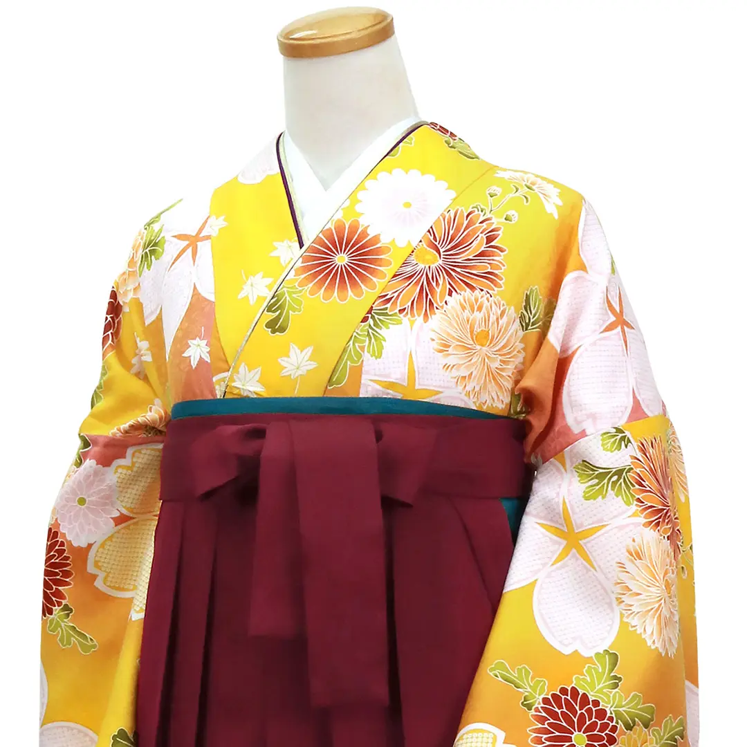 黄色地に桜と菊・臙脂袴(無地) (二尺袖)/卒業式 | 宅配着物 黄色地に桜と菊・臙脂袴(無地) (二尺袖)/卒業式 | 宅配着物