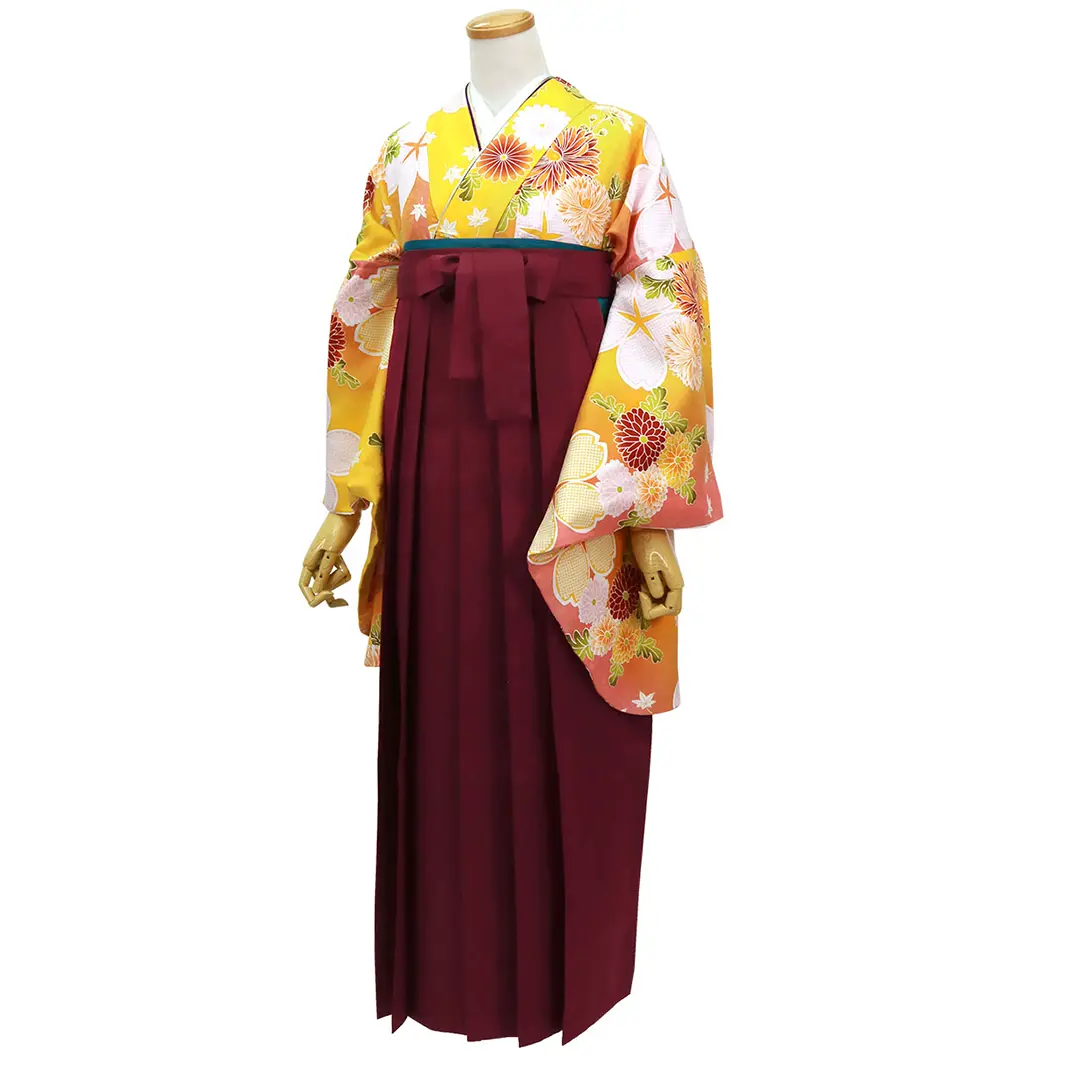 【人気セット】黄色地に桜と菊・臙脂袴（無地） （二尺袖）／卒業式／斜め