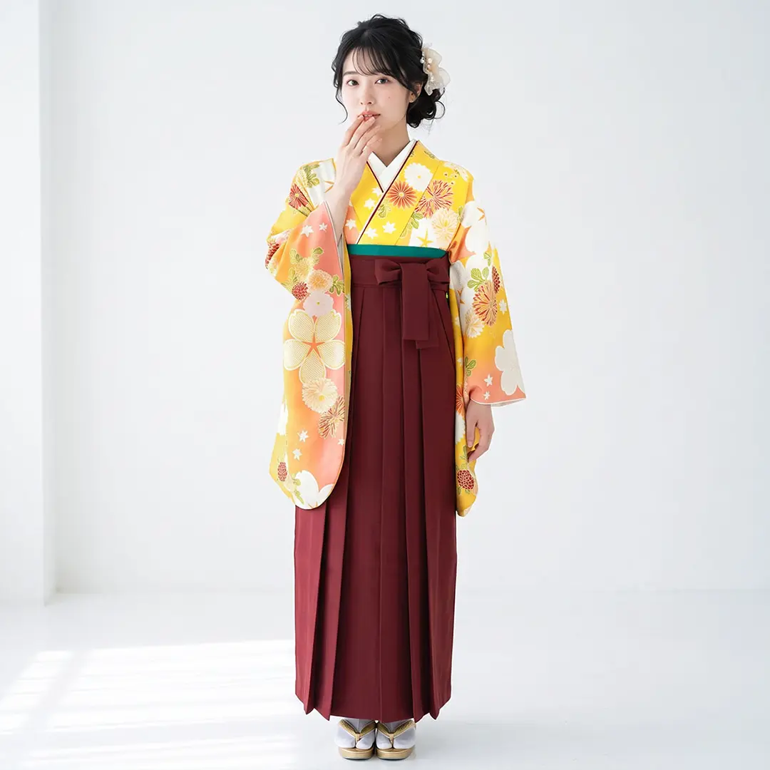 【人気セット】黄色地に桜と菊・臙脂袴（無地） （二尺袖）／卒業式／着用イメージ