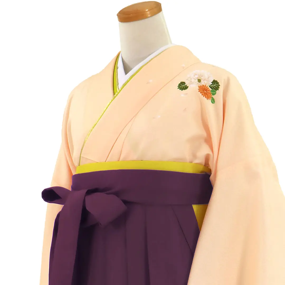 【先生におすすめ】ピンクベージュ地に菊・紫袴（無地） （二尺袖）／卒業式（オリジナルデザイン）／斜め詳細