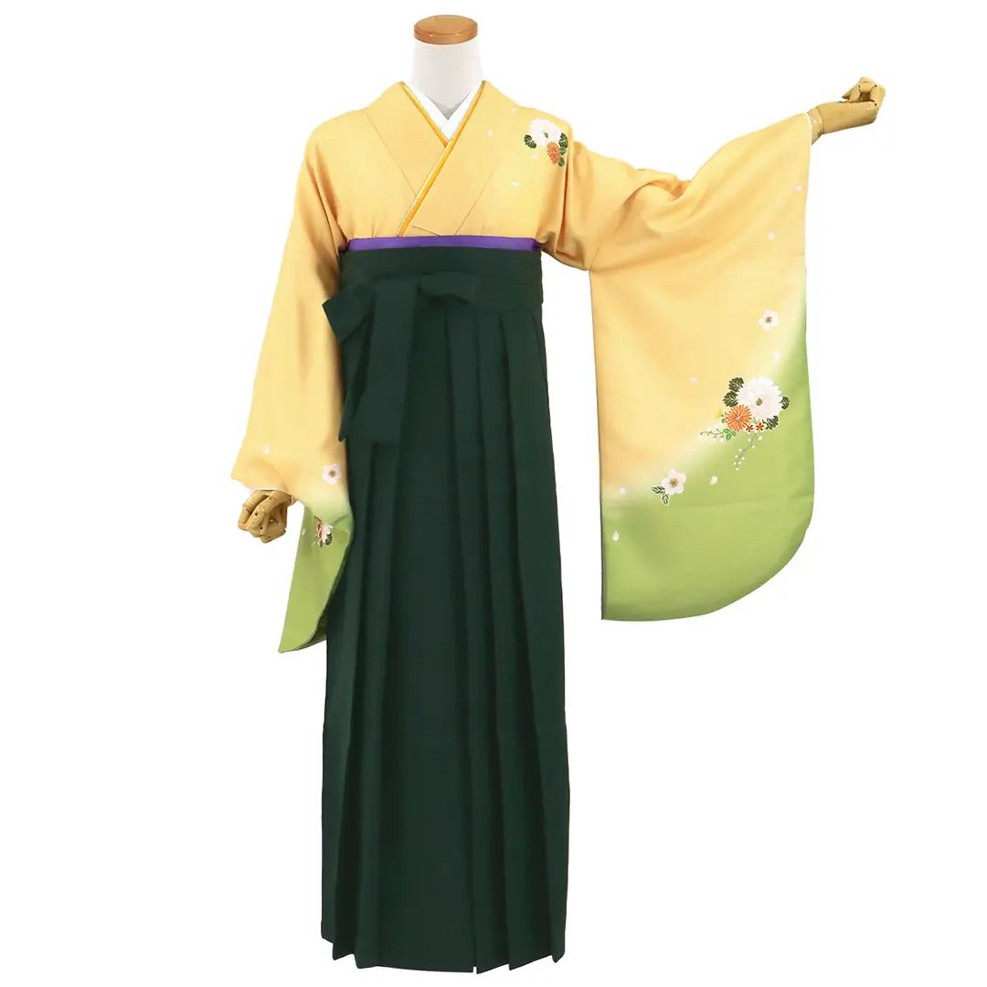 【先生におすすめ】黄色と鶸（ひわ）色地に菊・深緑袴（無地） （二尺袖）／卒業式（オリジナルデザイン）／正面