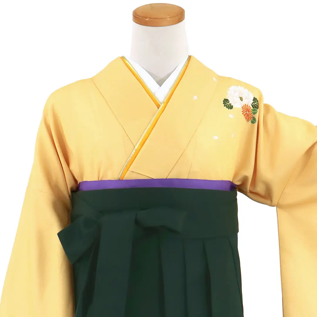 【先生におすすめ】黄色と鶸（ひわ）色地に菊・深緑袴（無地） （二尺袖）／卒業式（オリジナルデザイン）／正面詳細