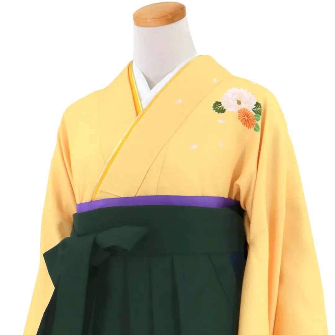 【先生におすすめ】黄色と鶸（ひわ）色地に菊・深緑袴（無地） （二尺袖）／卒業式（オリジナルデザイン）／斜め詳細