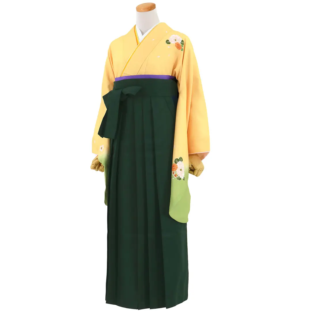 【先生におすすめ】黄色と鶸（ひわ）色地に菊・深緑袴（無地） （二尺袖）／卒業式（オリジナルデザイン）／斜め
