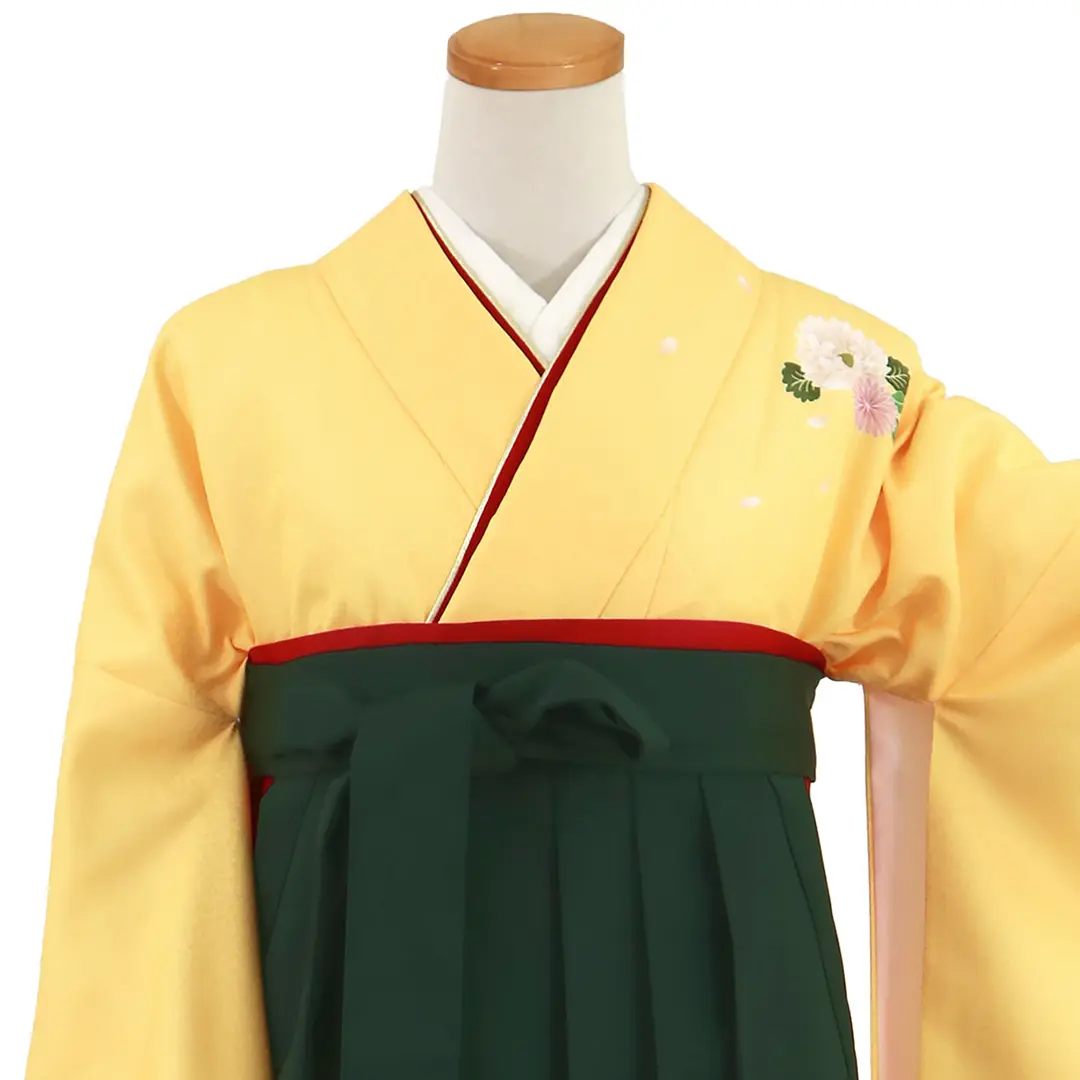 【先生におすすめ】黄色地に菊・深緑袴（無地） （二尺袖）／卒業式（オリジナルデザイン）／正面詳細