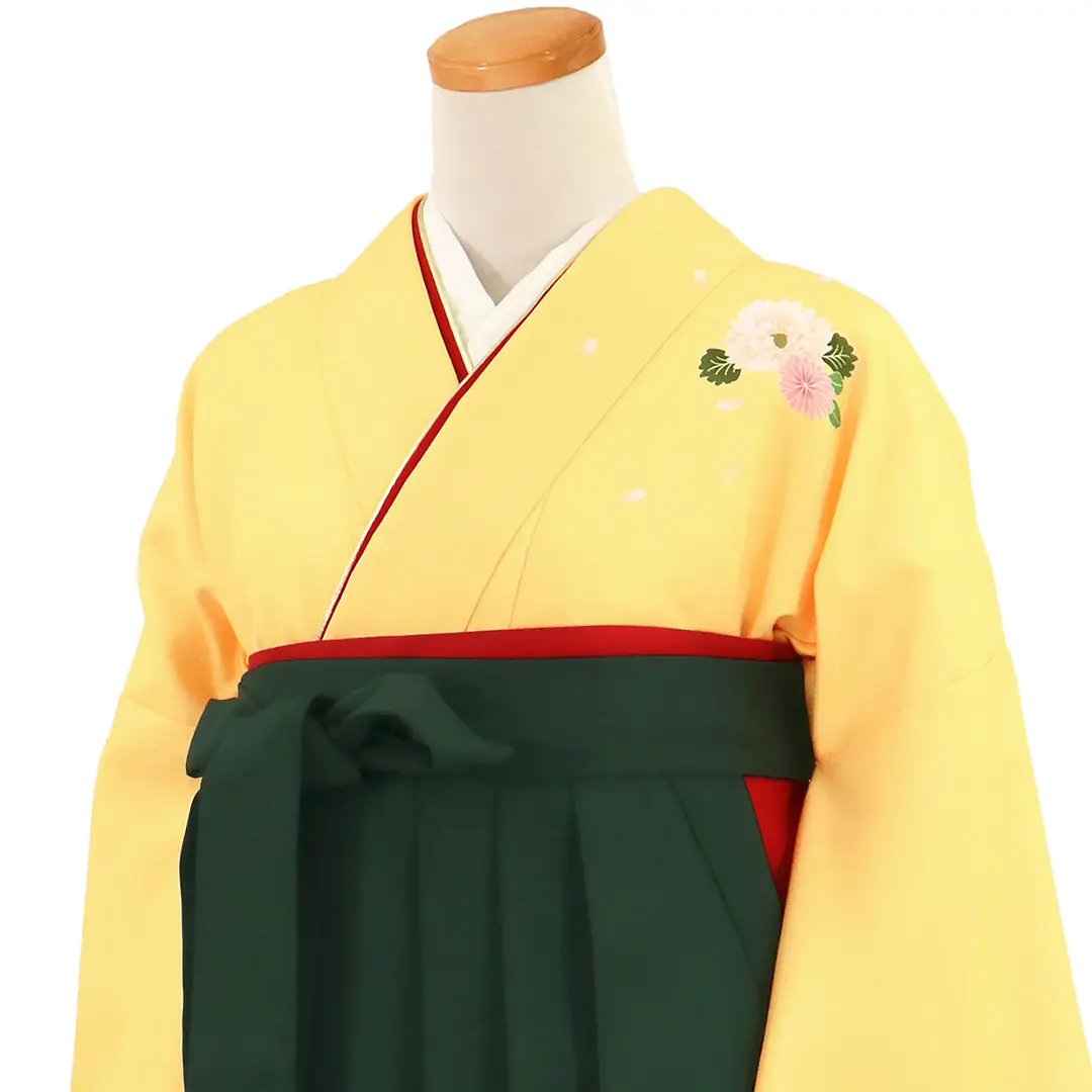 【先生におすすめ】黄色地に菊・深緑袴（無地） （二尺袖）／卒業式（オリジナルデザイン）／斜め詳細