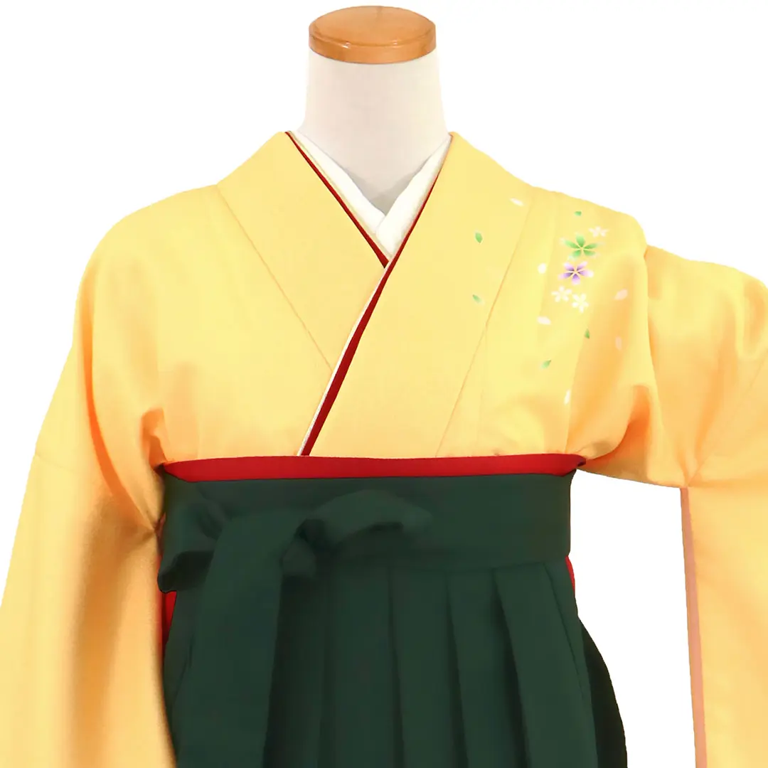 【先生におすすめ】黄色地に桜・深緑袴（無地） （二尺袖）／卒業式（オリジナルデザイン）／正面詳細