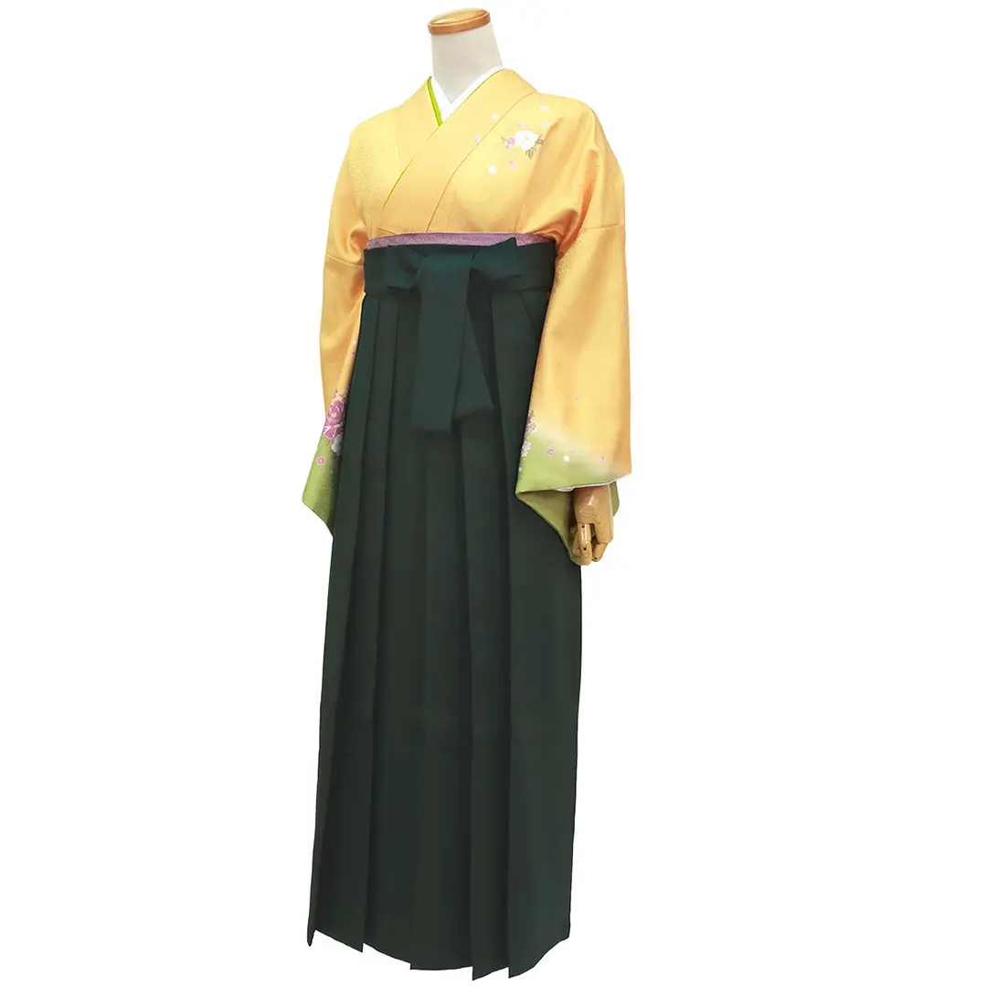 【先生におすすめ】黄色と鶸（ひわ）色地に牡丹・深緑袴（無地） （小袖）ワイドサイズ／卒業式／斜め