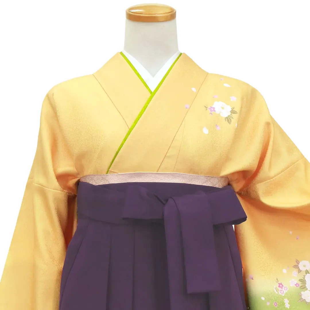 【先生におすすめ】黄色と鶸（ひわ）色地に牡丹・紫袴（無地） （小袖）ワイドサイズ／卒業式／正面詳細