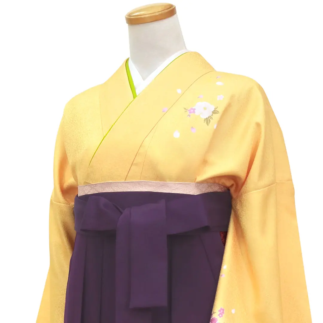 【先生におすすめ】黄色と鶸（ひわ）色地に牡丹・紫袴（無地） （小袖）ワイドサイズ／卒業式／斜め詳細