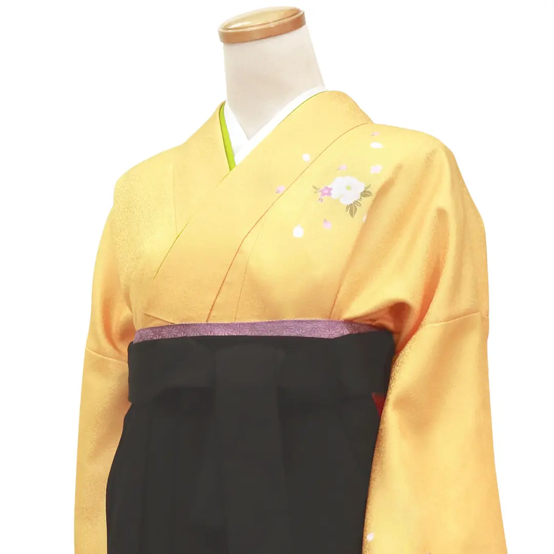 【先生におすすめ】黄色と鶸（ひわ）色地に牡丹・黒袴（無地） （小袖）ワイドサイズ／卒業式／斜め詳細