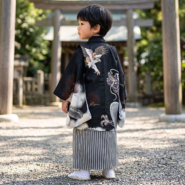 黒地に鷹と雲龍、黒縞の袴／七五三・三歳男の子・袴