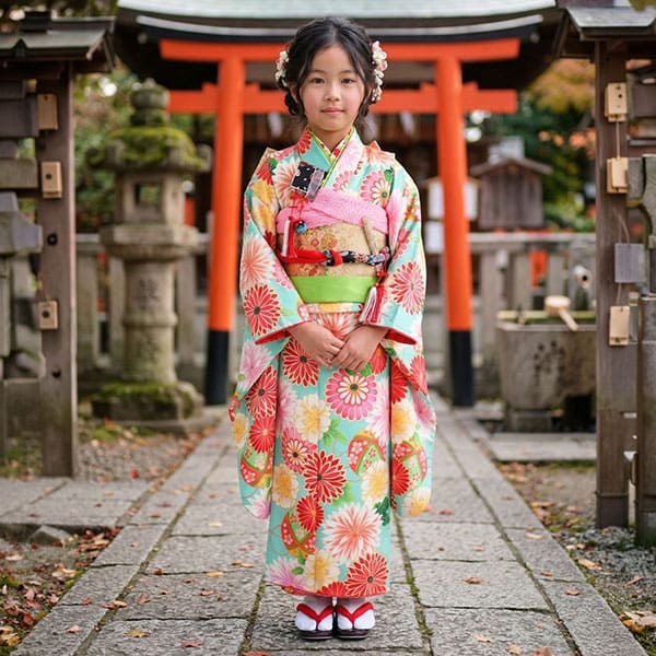 水色地に和菊の着物／七五三・七歳女の子